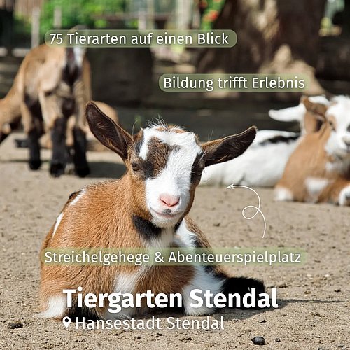 #altmarkliebe Stickerfieber im Tiergarten Stendal 🐾

Mitten in der Hansestadt Stendal, idyllisch am Stadtsee gelegen,...